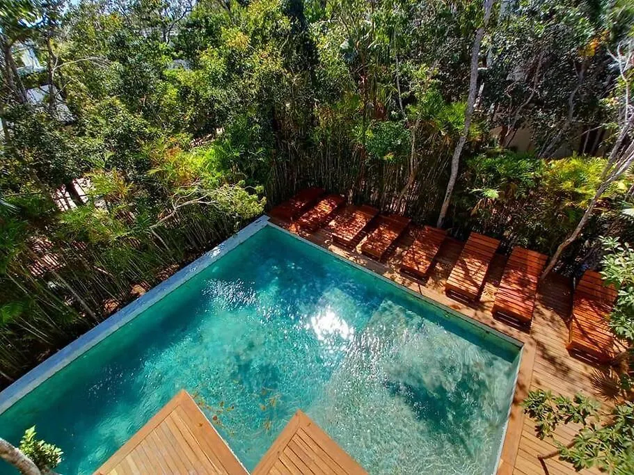 Private Rooftop Pool - Bike To Ruins Or Beach Τουλούμ 0*,