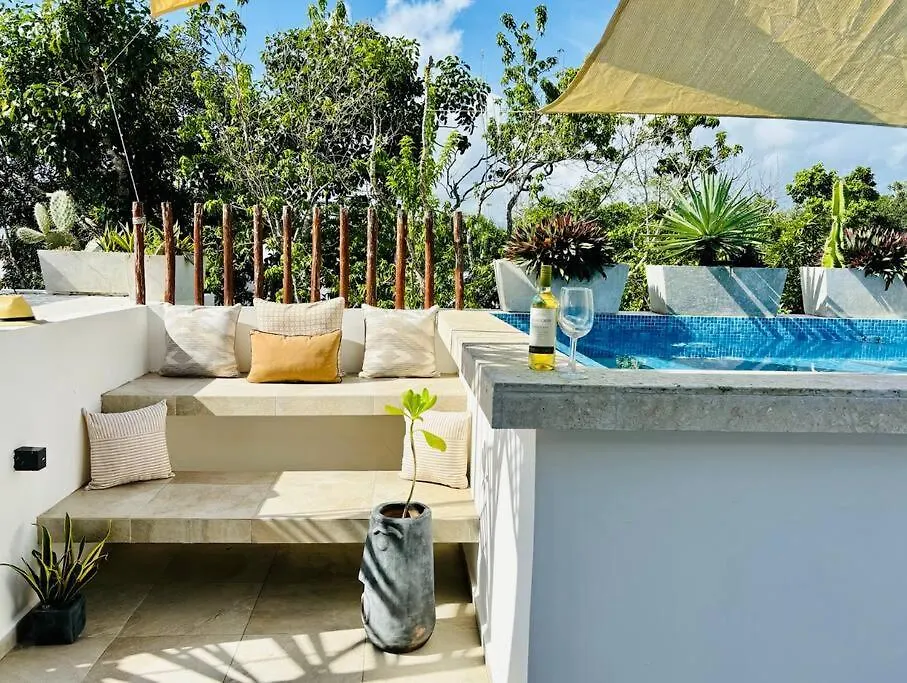 Private Rooftop Pool - Bike To Ruins Or Beach Τουλούμ